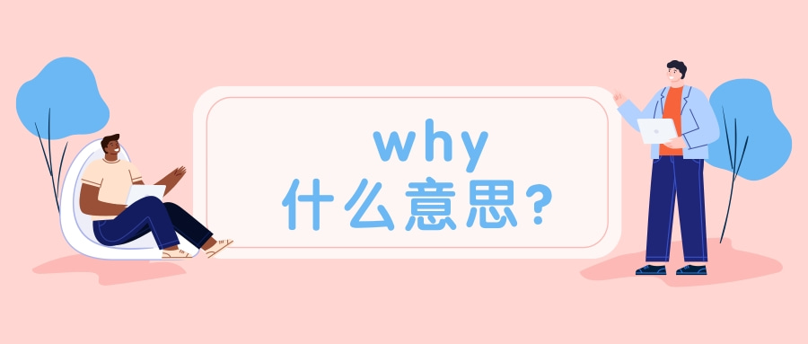 【每日学习】why什么意思?