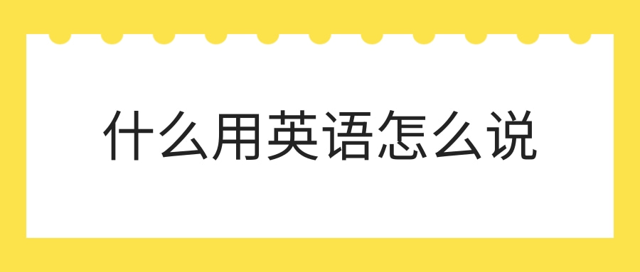 每日学习什么用英语怎么说