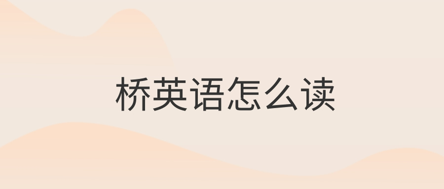 英语单词桥英语怎么读桥的例句