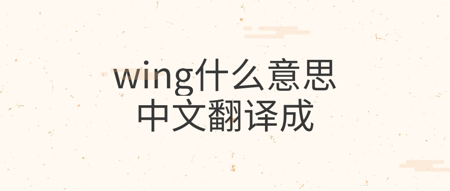 wing什么意思中文翻译成