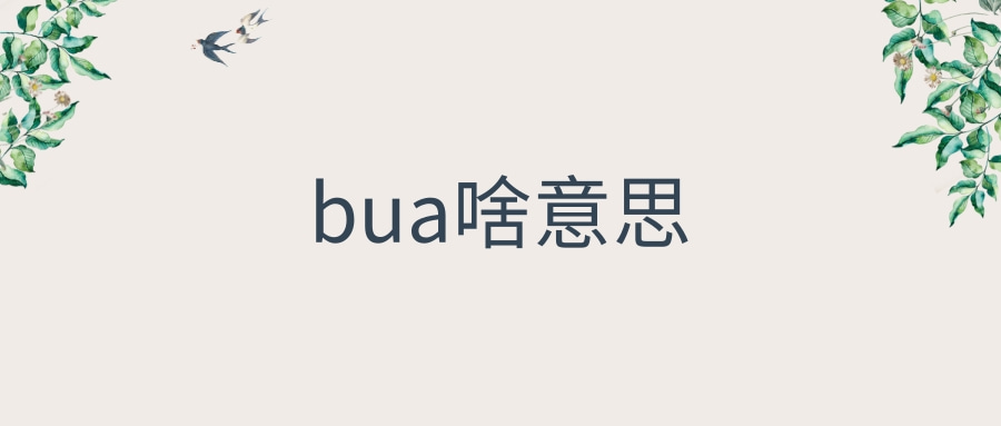 bua啥意思