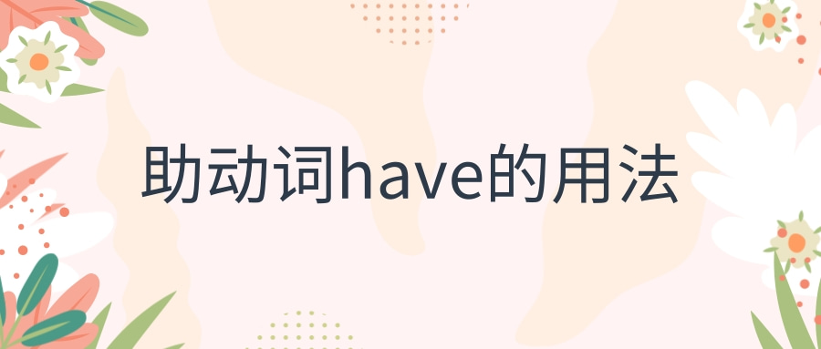 助动词have的用法