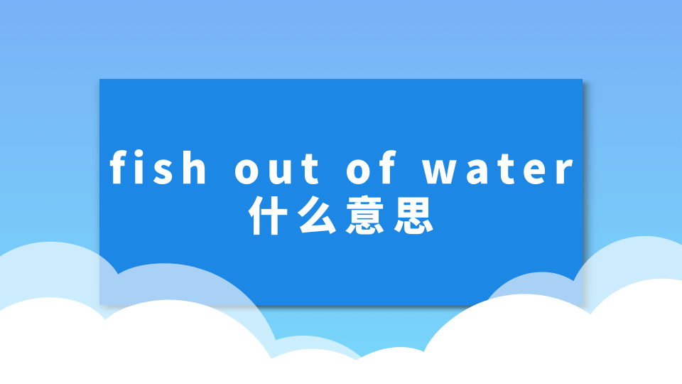 【英语知识】fish out of water什么意思