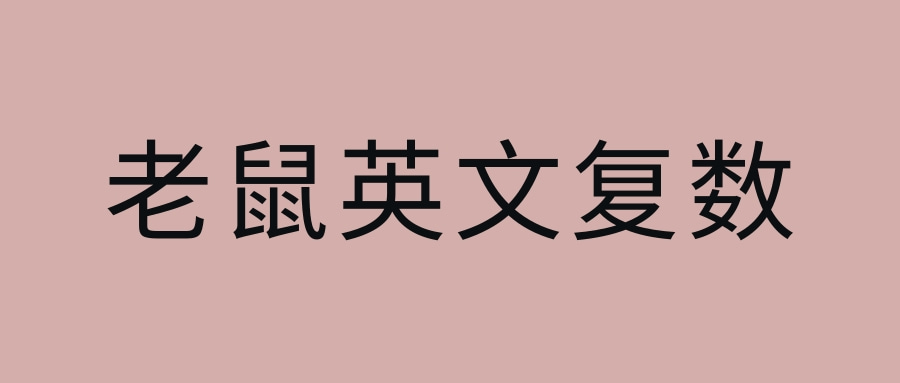 老鼠英文复数怎么写？老鼠英文例句